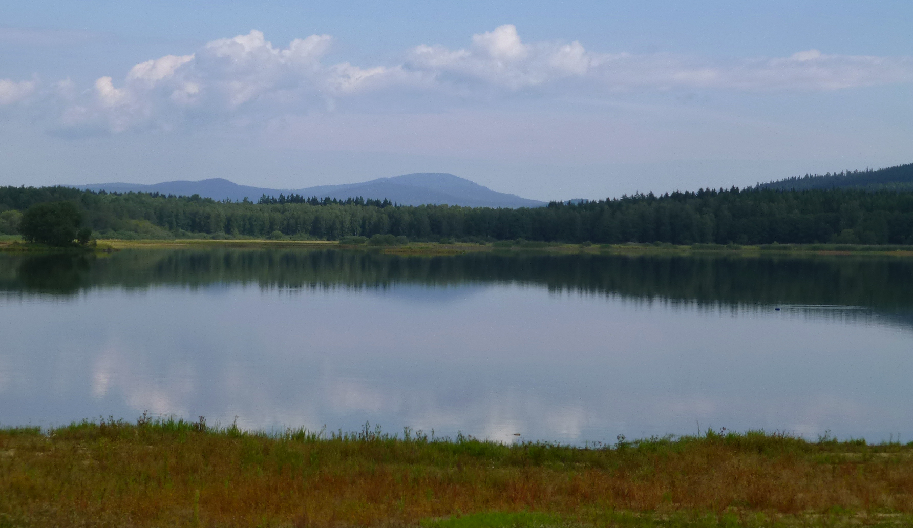 Černá v Pošumaví LipnoReservoir 80078