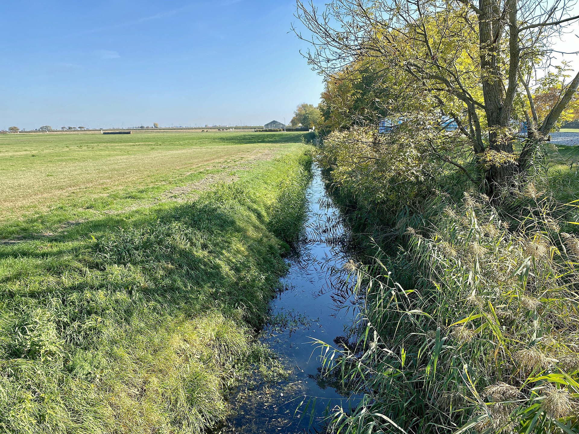 Podersdorf am See Kanal nach Kläranlage