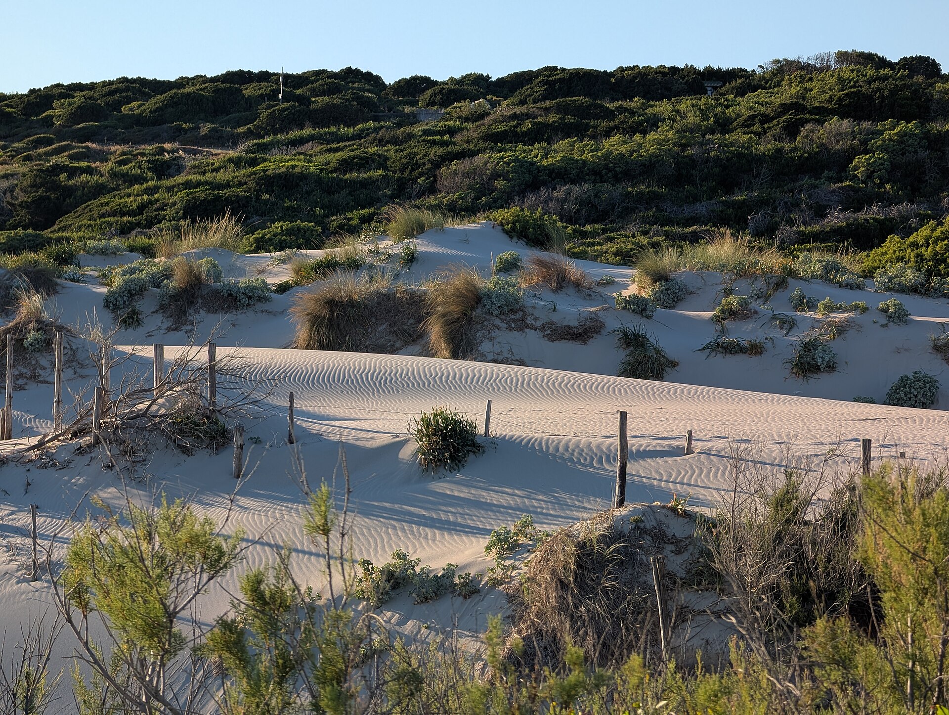 Dune della spiaggia di Rena Majore