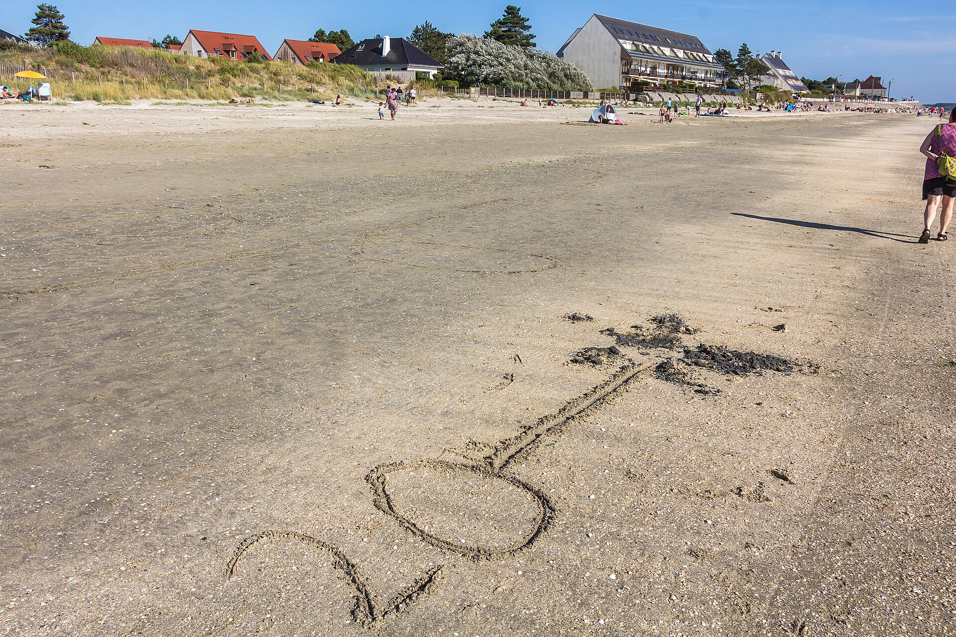Beach of Le Crotoy-0526