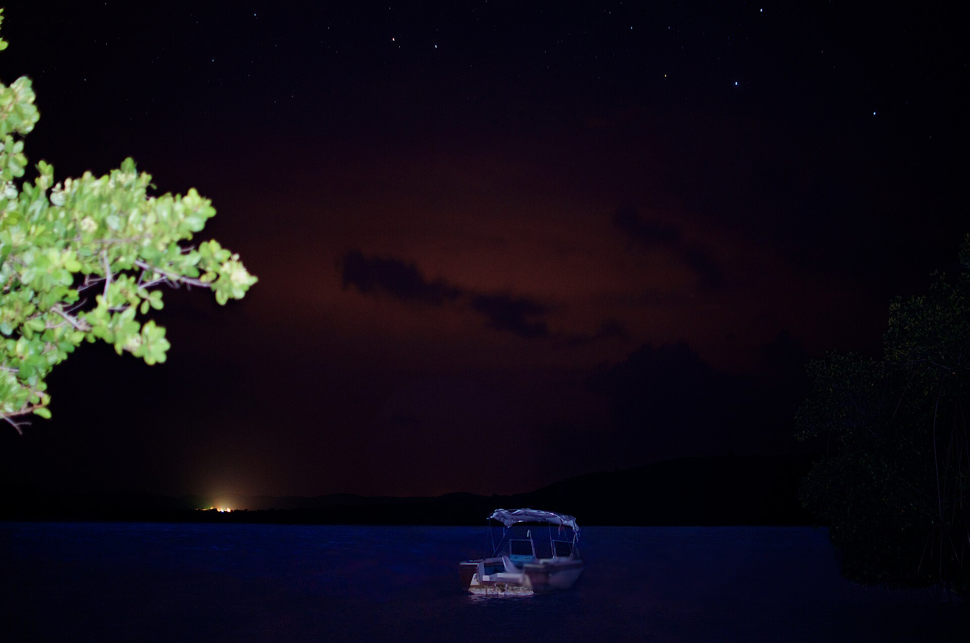 Mosquito bay, Bioluminescent bay, Vieques - panoramio (1)