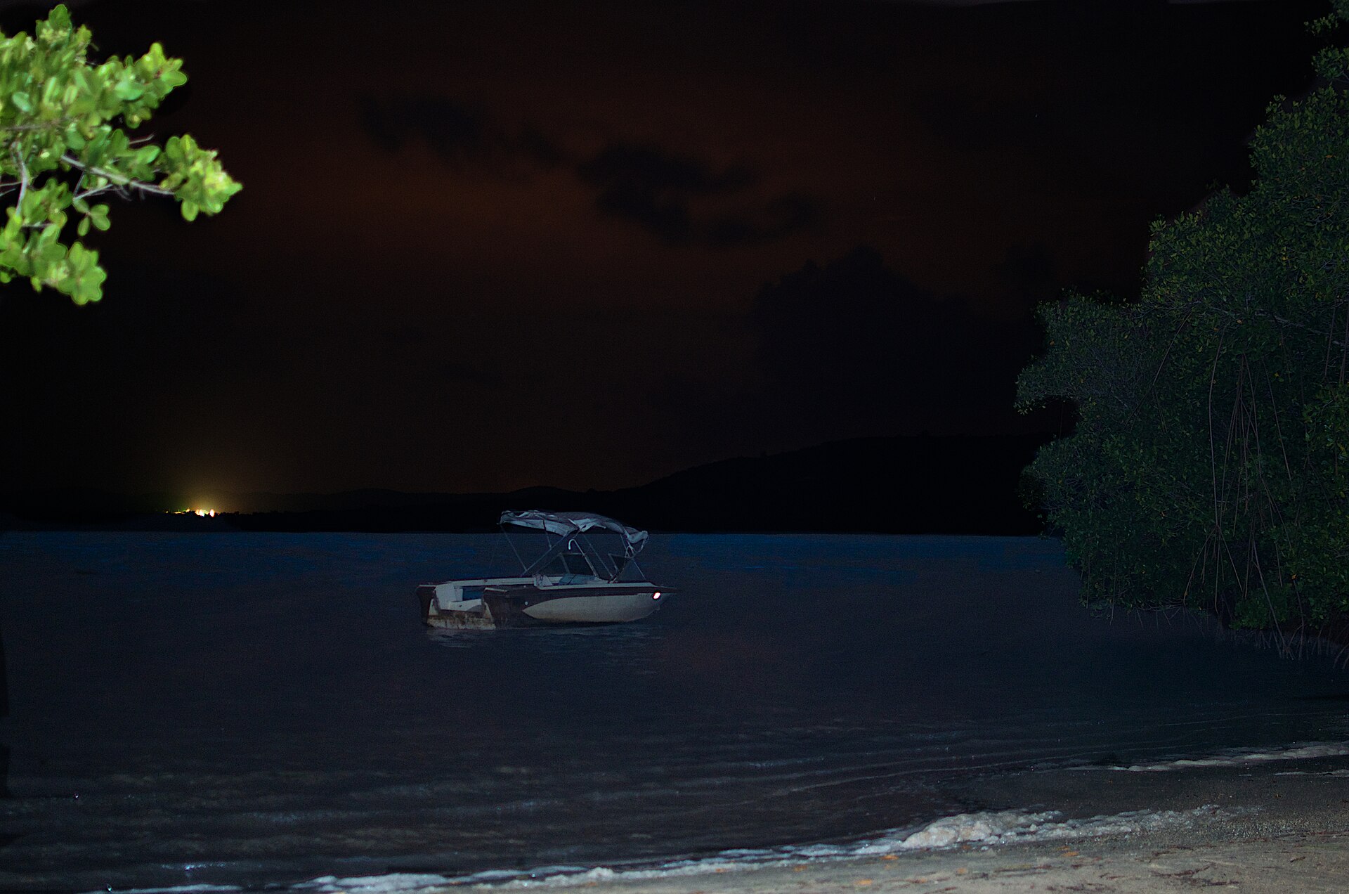 Mosquito bay, Bioluminescent bay, Vieques - panoramio (2)