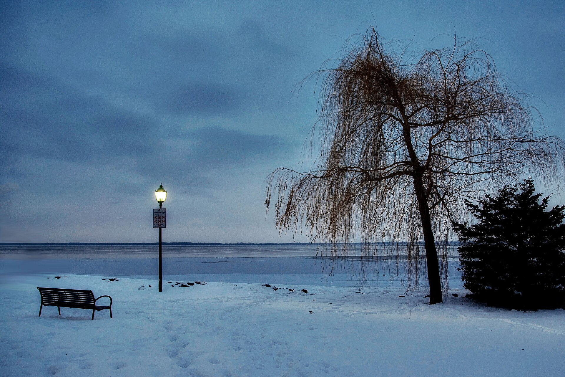 Saint Laurent River Bank in Winter (7046678881)