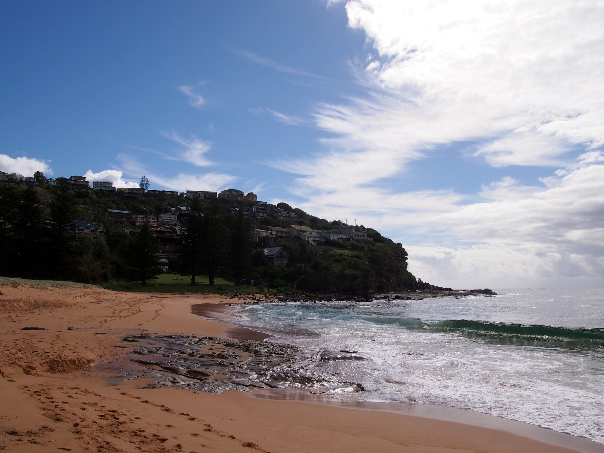 Whale Beach - panoramio (3)