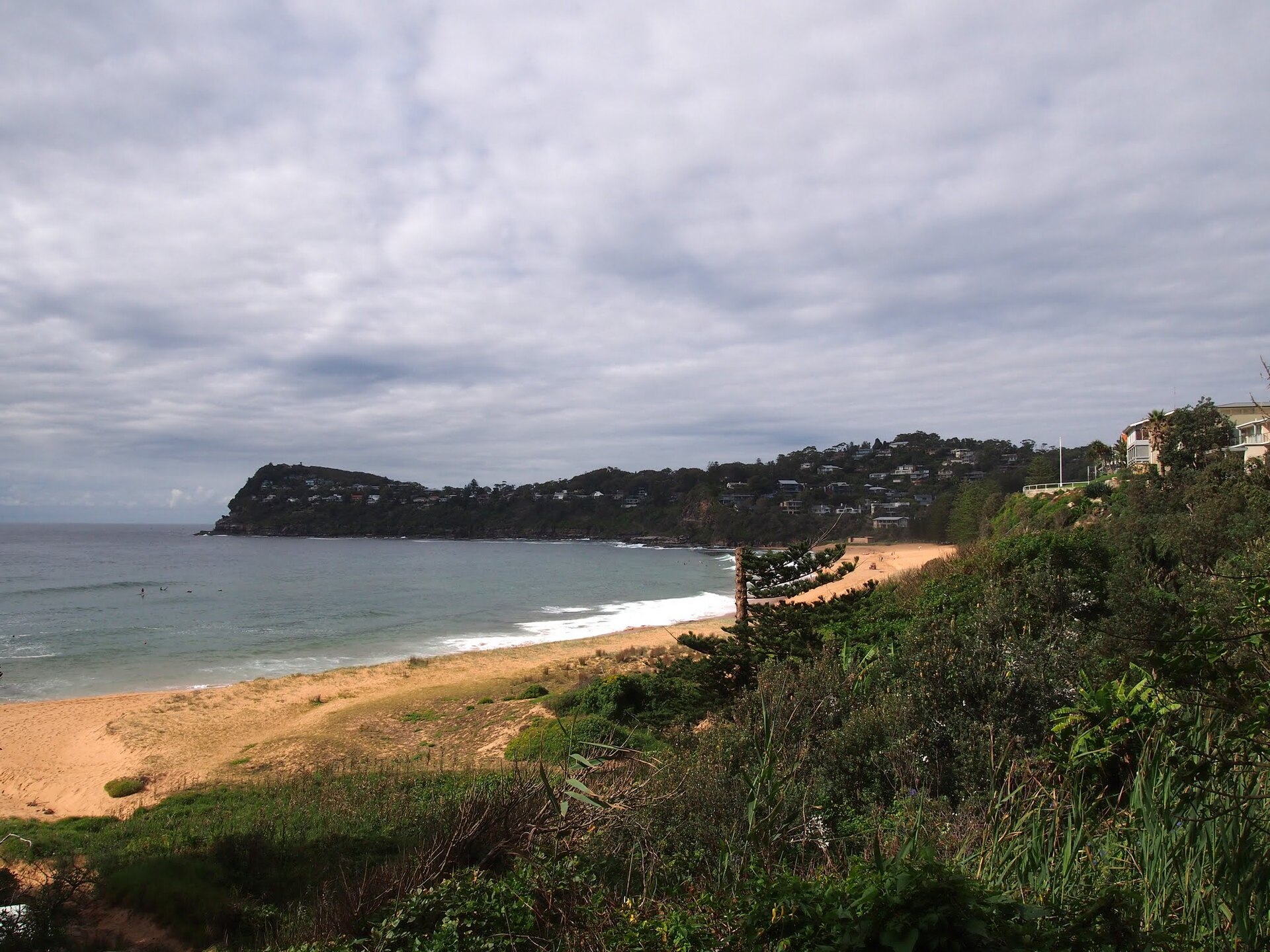 Whale Beach - panoramio (1)