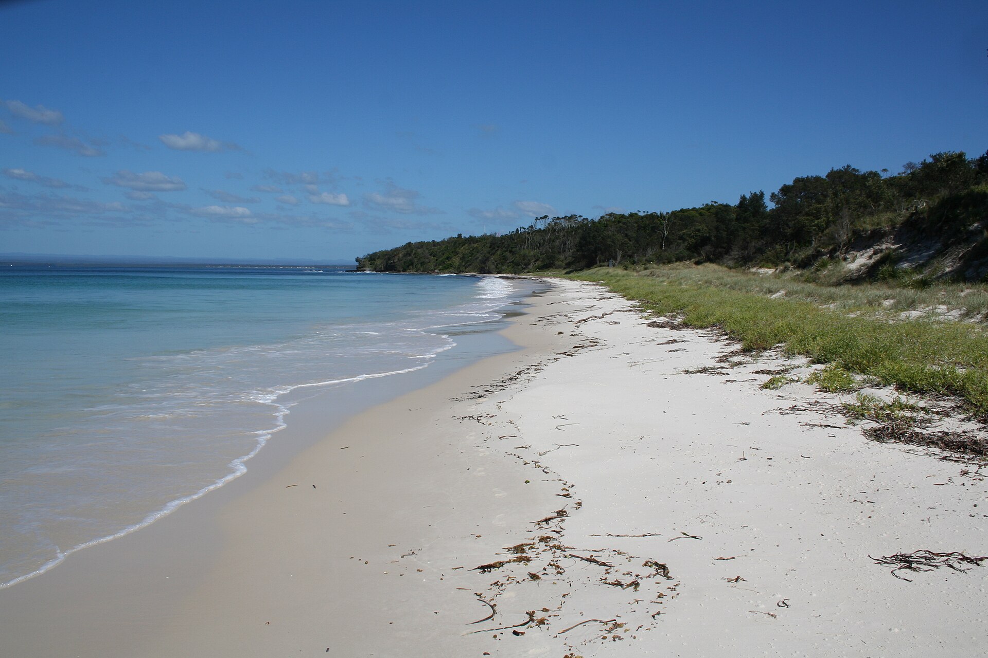 Longbeach North - panoramio