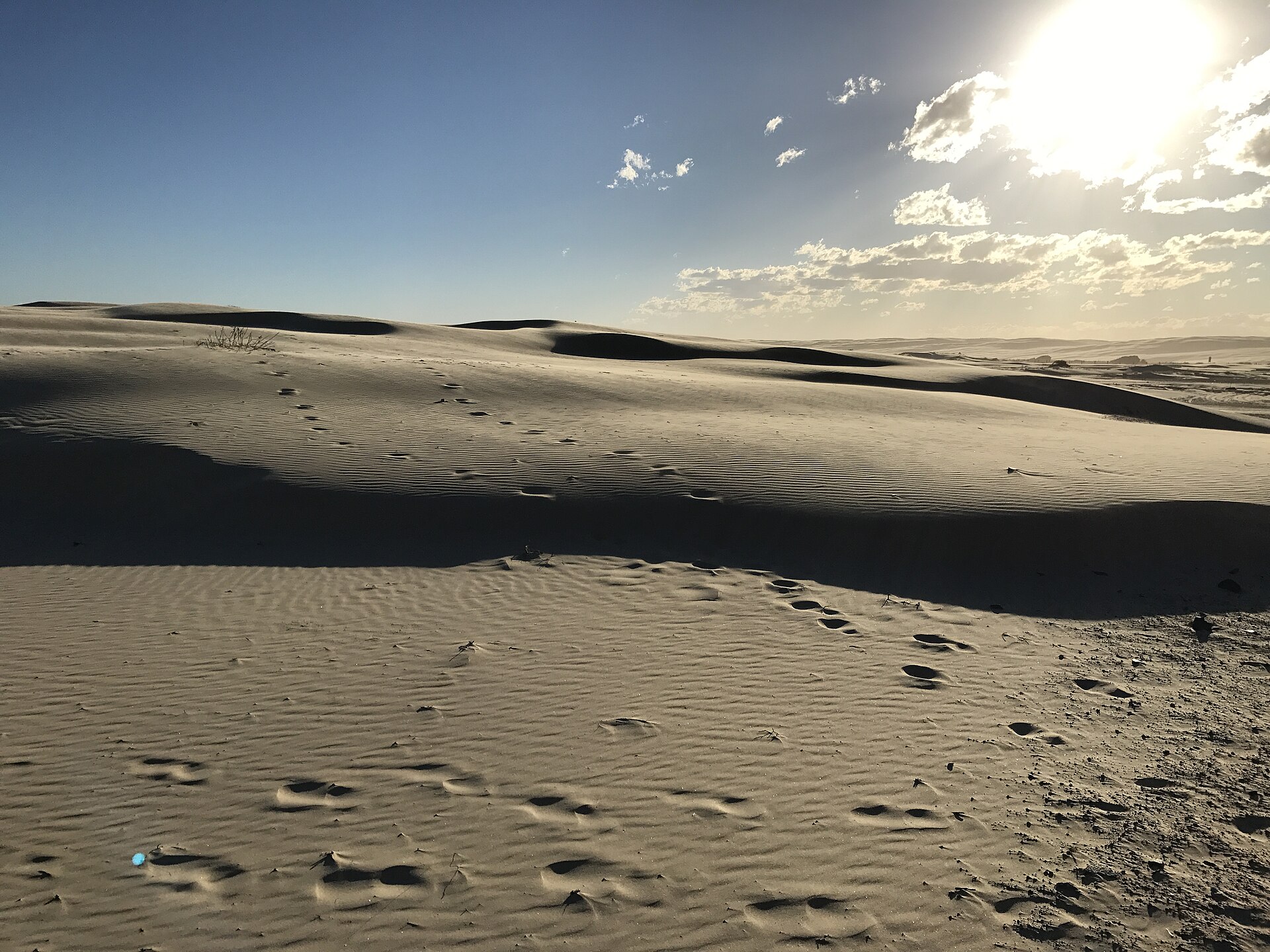 Sand dunes at Anna Bay