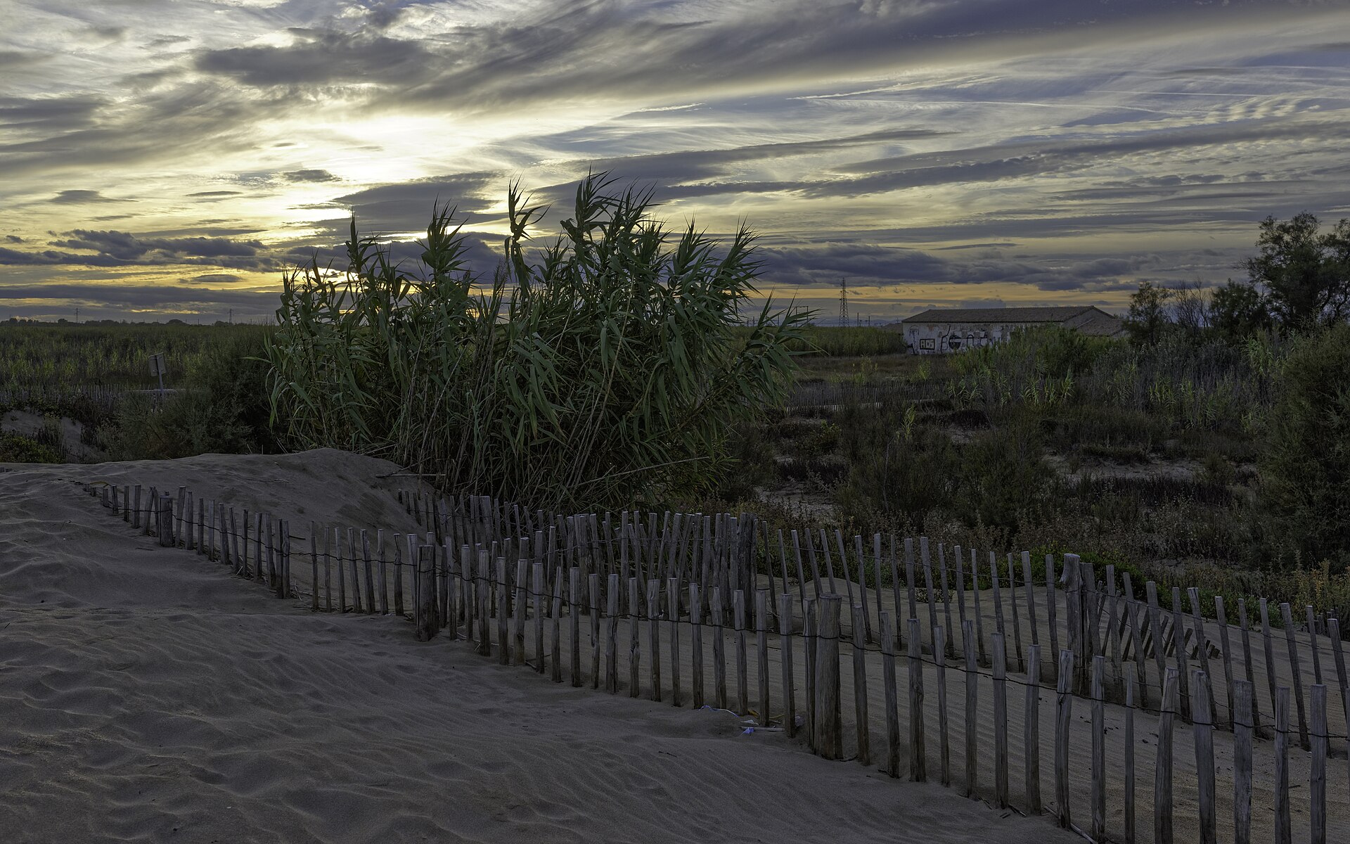 Plage du Castellas, Sète cf02