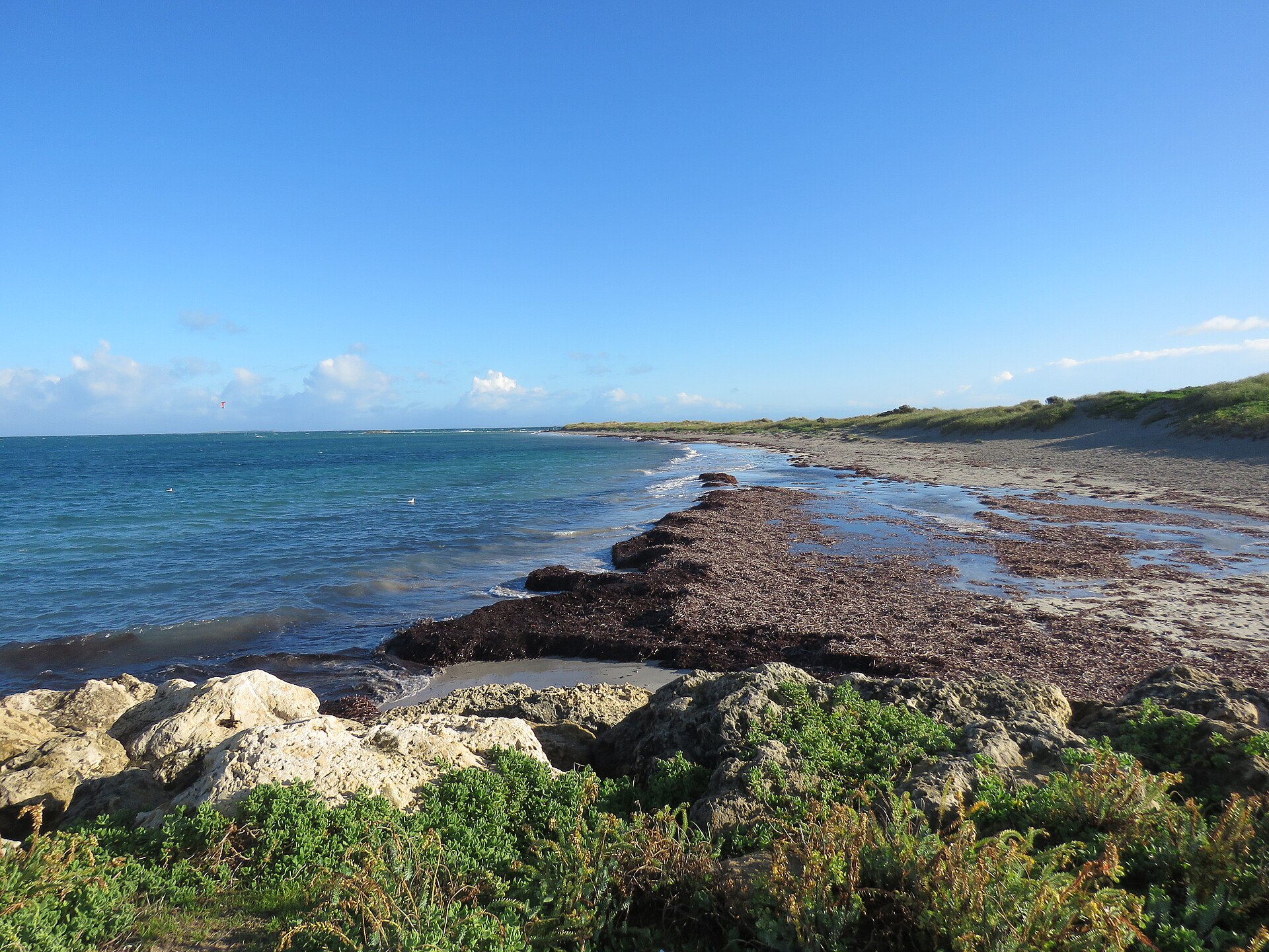 Beach between Woodman Point and Woodman Spit, June 2022