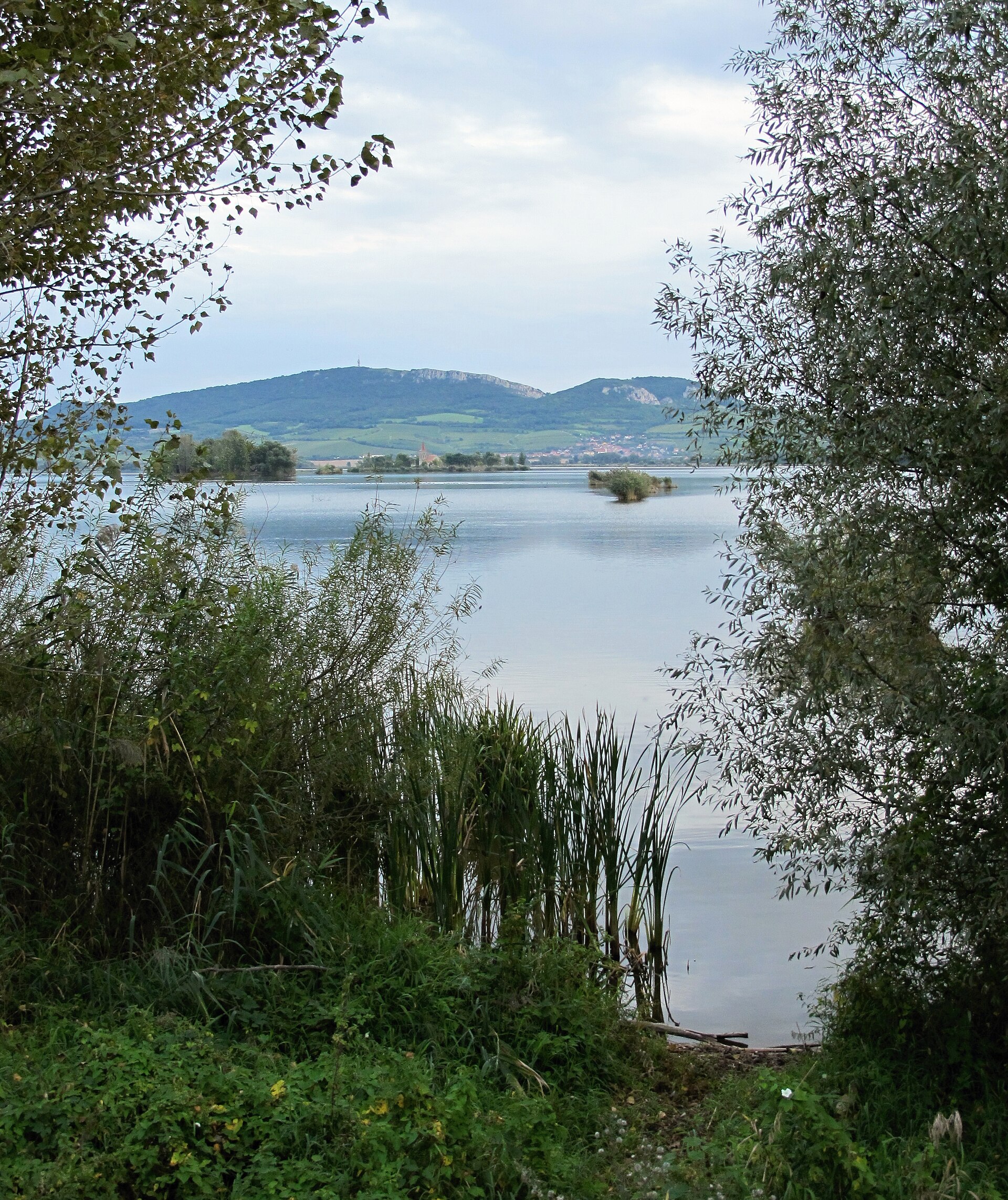 Věstonice reservoir (1)