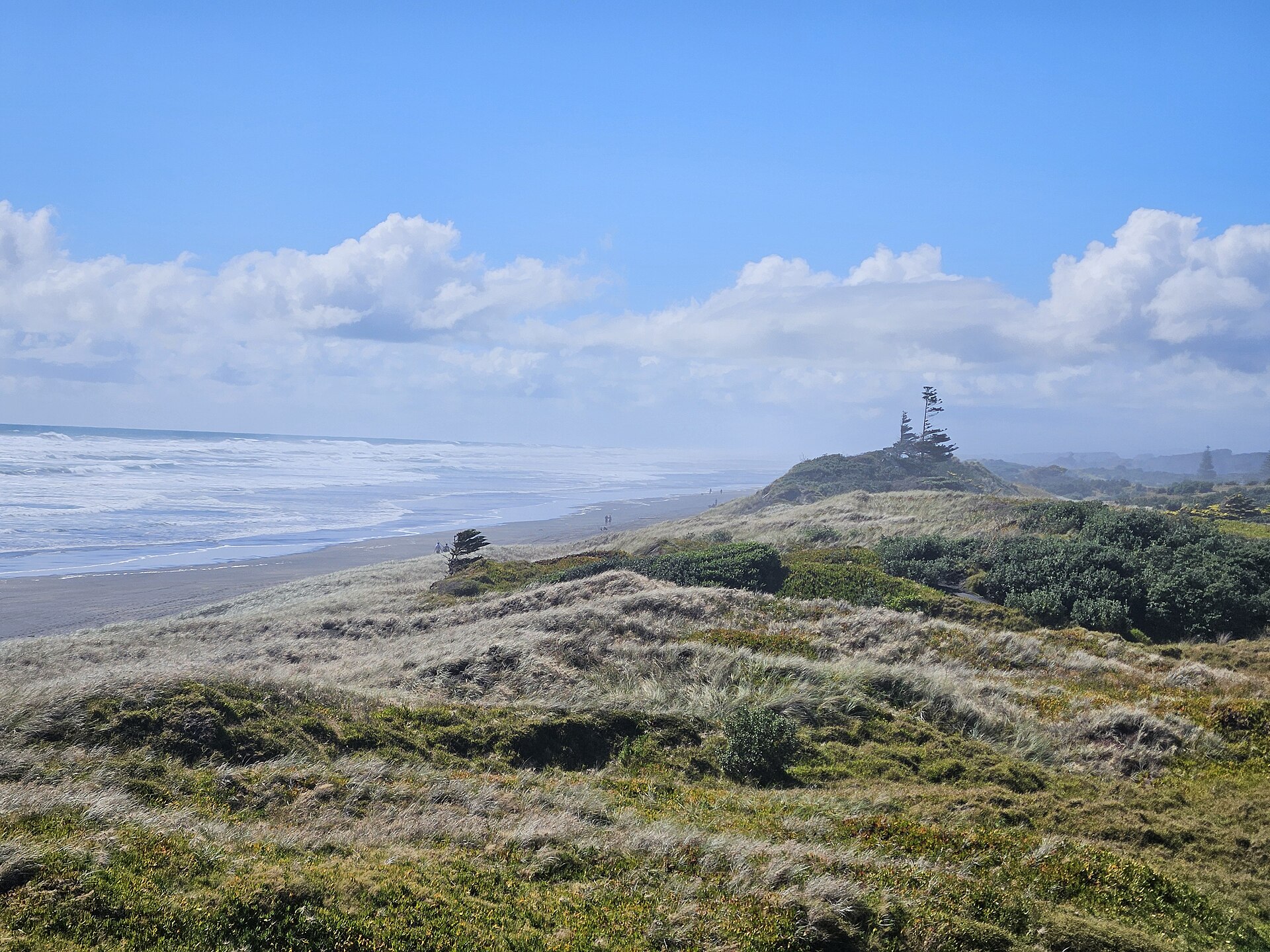 Muriwai Regional Park sand dunes 20250104 163638