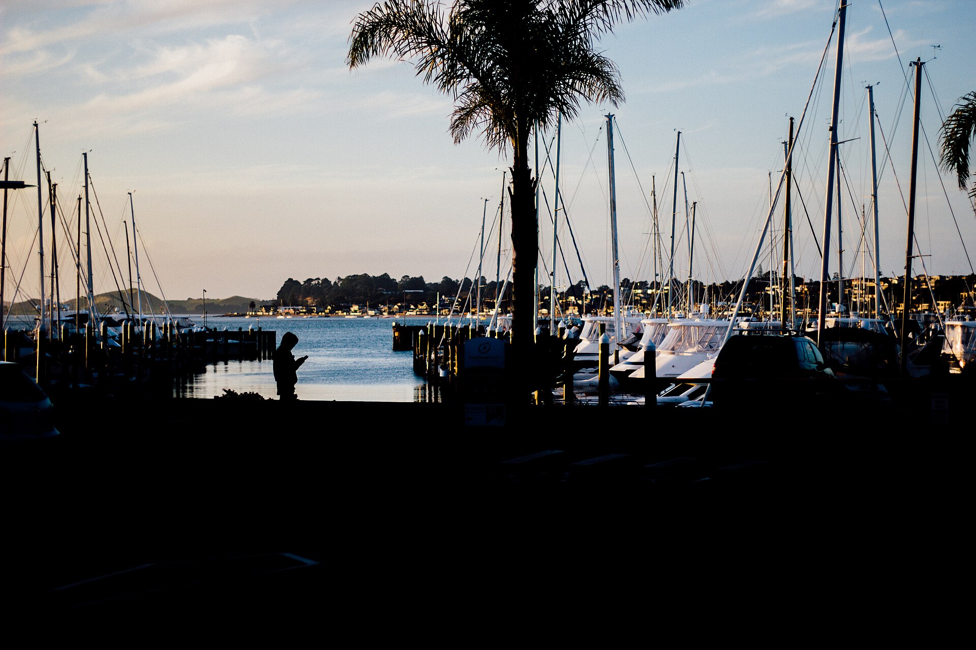 Half Moon Bay, Auckland, New Zealand (Unsplash)