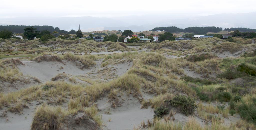 Waikawa beach