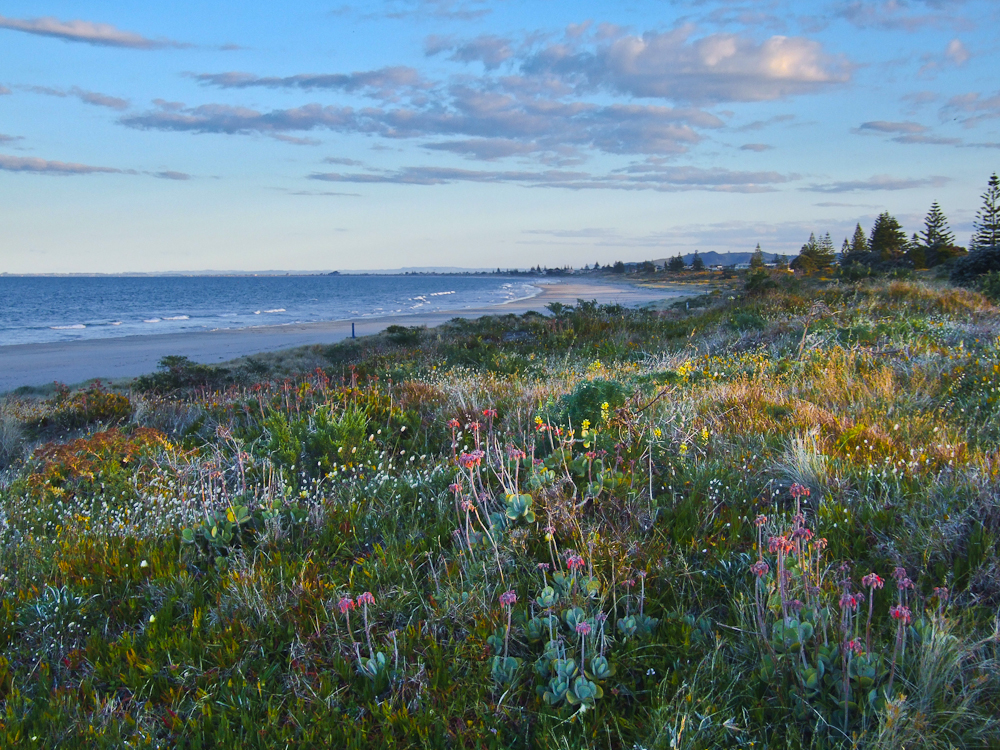 Colorful Dunes