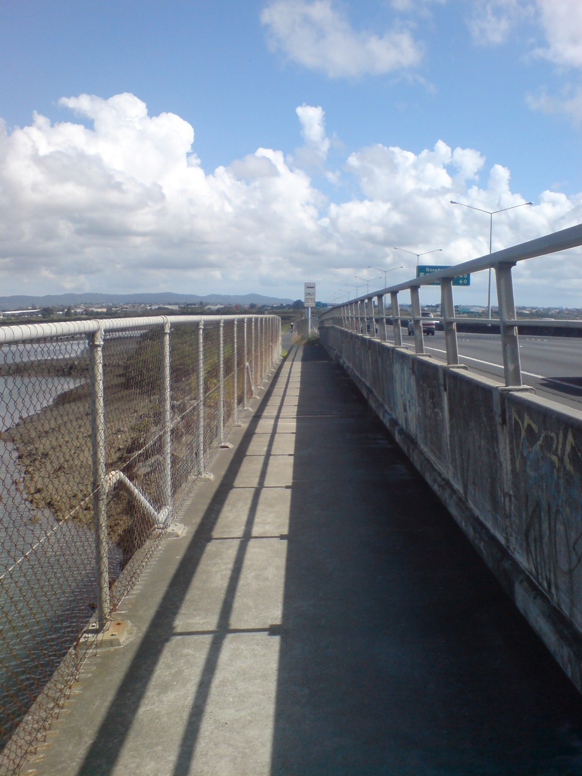 Bridges On SH16 Causeway Cycleway I