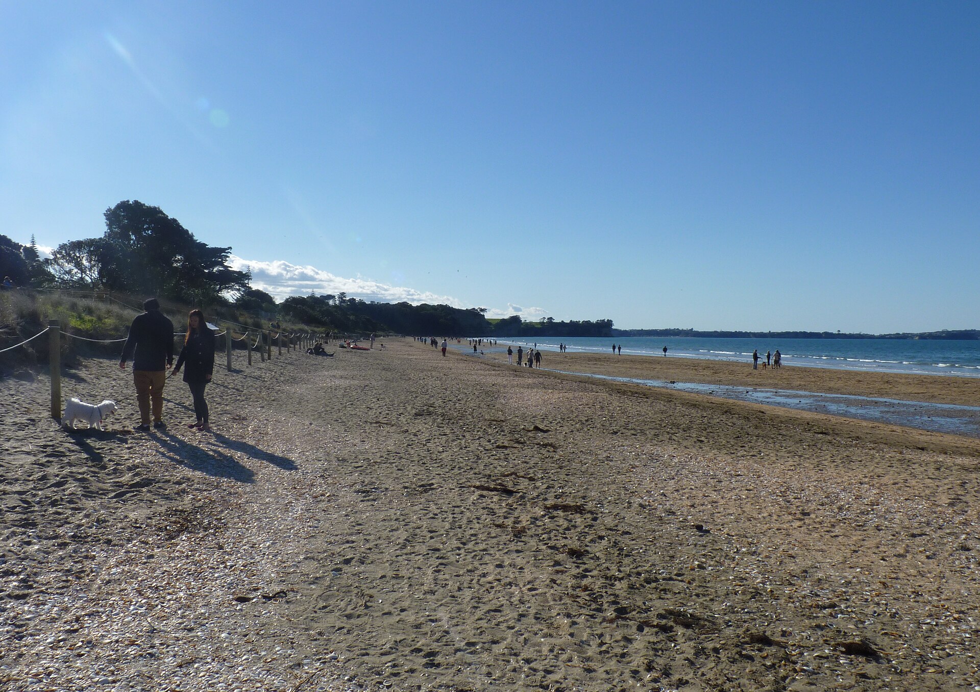 Long Bay, New Zealand (1)