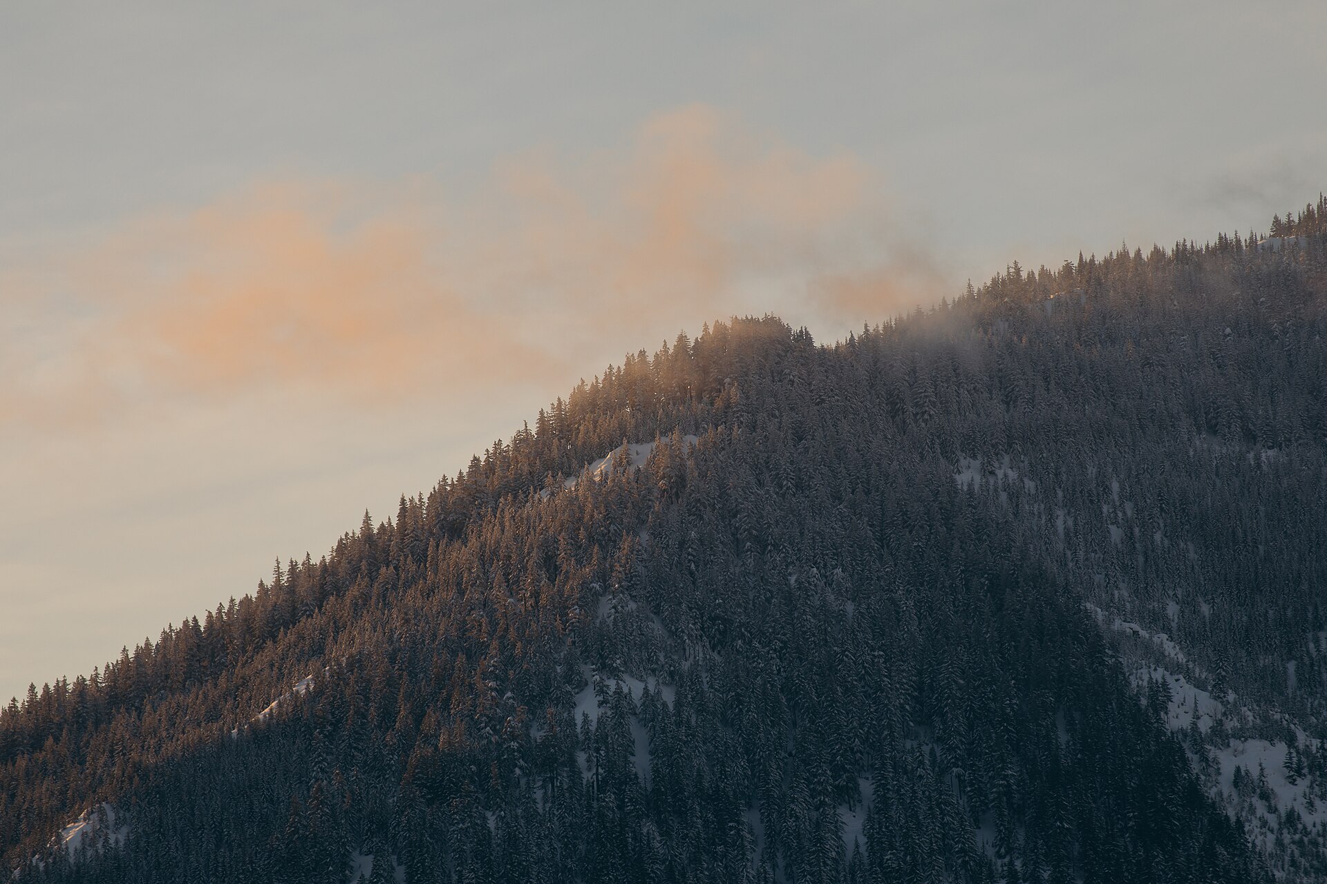Lake Wenatchee, United States (Unsplash -dzQ-X87pos)