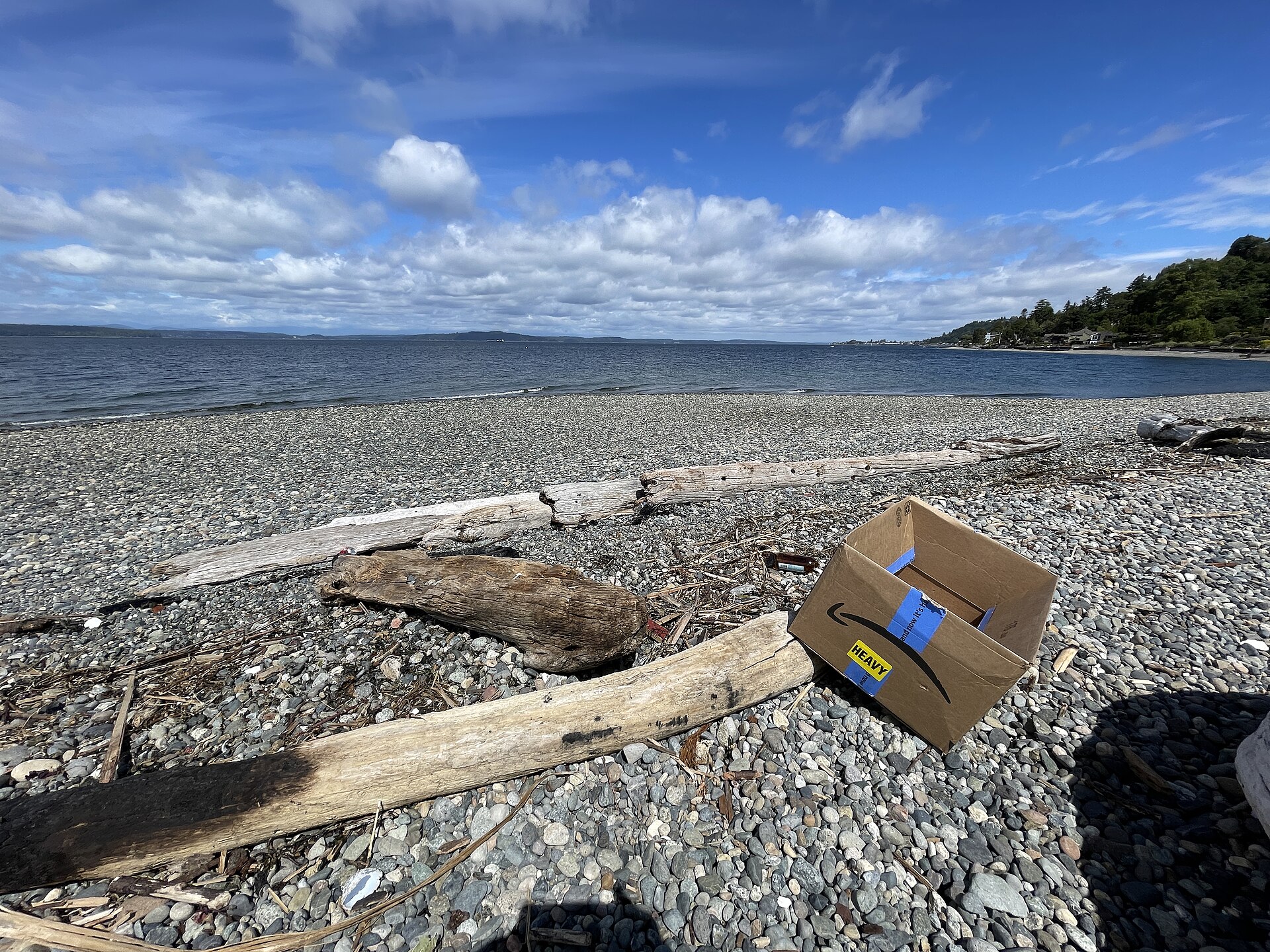 2024-06-14, Lowman Beach Park (Seattle), 110327AM