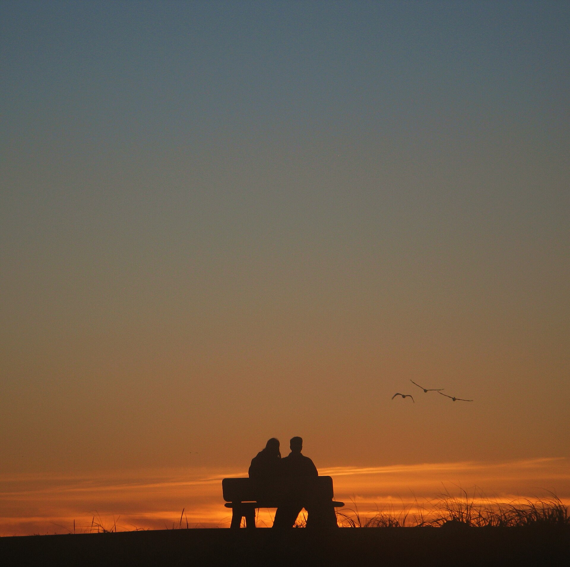 Coast Sunset - panoramio