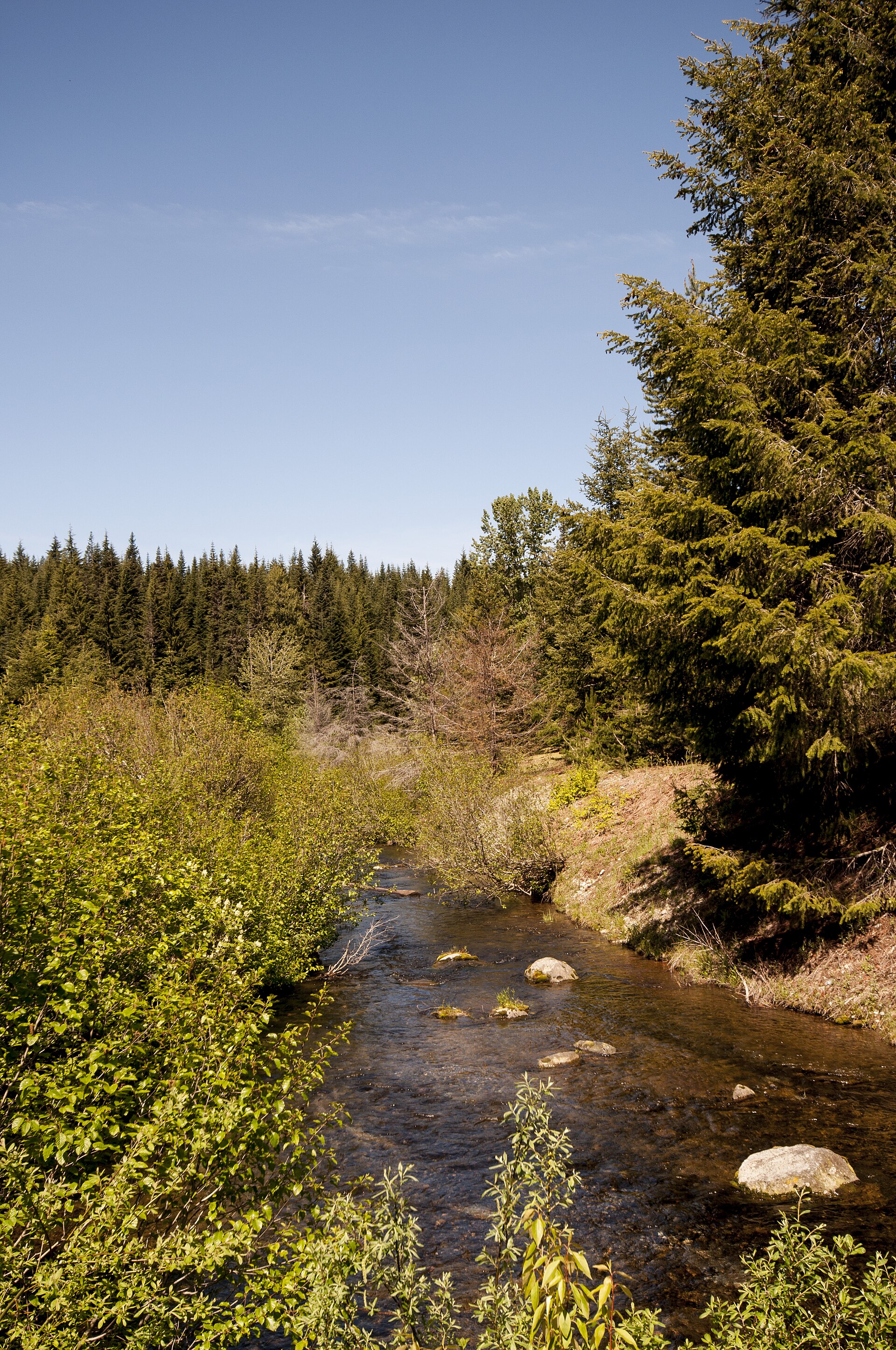 View of Gold Creek along Interstate 90, Mt. Baker Snoqualmie National Forest (31993924461)
