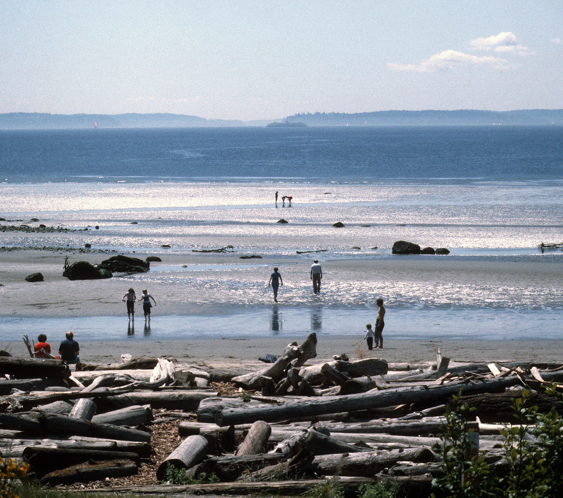 Seattle - Low tide at Discovery Park south beach, circa 1980